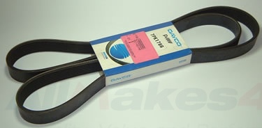 Image of ERR6899D, a 'POLYVEE BELT - ACE DAYCO - DISCOVERY 2' part