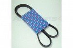 FAN BELT SERPENTINE 3.9 EFI - RANGE ROVER - DISCOVERY
