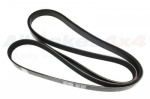 PRIMARY V-BELT 4.2 V8 PETROL RANGE ROVER SPORT >8A