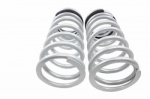 TERRAFIRMA STANDARD LOAD REAR SPRINGS - 1-INCH LOWERED - DEFENDER (110/130)