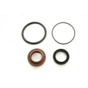 REPLACEMENT SEAL KIT FOR MEGA SPORT SHOCK