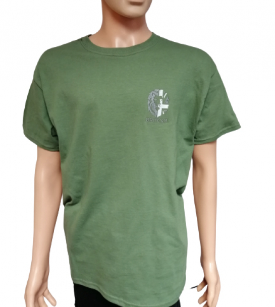 Image of BCTEEGREENM, a 'BRITCAR GREEN T-SHIRT MEDIUM' part