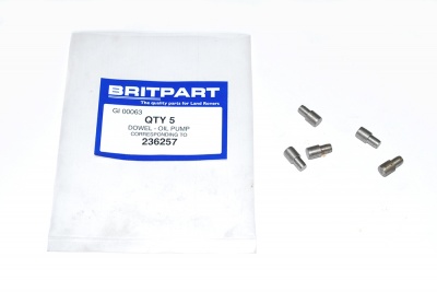 Image of 236257, a 'DOWEL OIL PUMP>COVER 200TDI ALL APPL' part