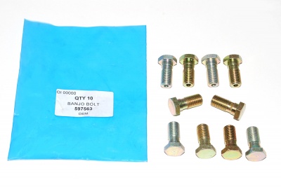 Image of 597563, a 'BANJO BOLT CYLINDER 2.25 PETROL - SERIES 111' part