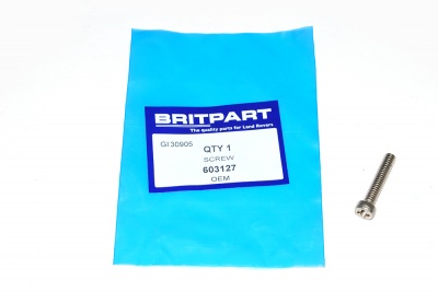 Image of 603127, a 'SCREW 1/4 UNC X 1'' 5/16' part