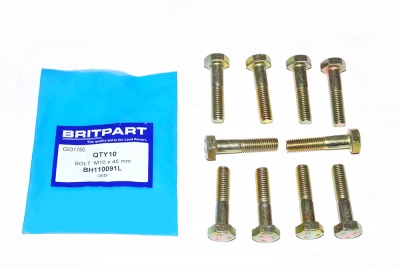 Image of BH110091L, a 'BOLT M10 X 45MM HEX HEAD - MULTI USE ' part