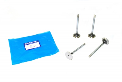 Image of ERR1156, a 'EXHAUST VALVE 2/300TDI DEFENDER - DISCOVERY - RANGE ROVER CLASSIC' part
