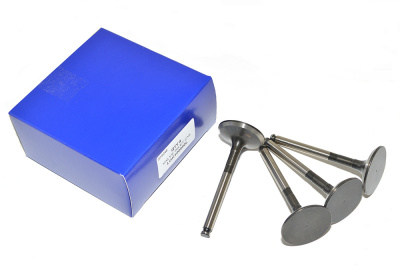 Image of LGH100990L, a 'INLET VALVE 2.0L TCIE DIESEL FREELANDER 1' part