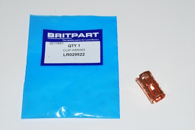 Image of LR029522, a 'ABS FRONT SENSOR BUSH - DEFENDER 2007 ON' part