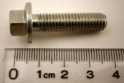 FLANGED HEAD SCREW - M8 X 30MM - ALL MODELS