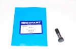 CALIPER RETAINING BOLT  RANGE ROVER CLASSIC - DISCOVERY 1