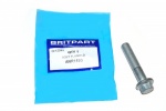 BOLT M12 FLANGED STEERING DAMPER P38 RANGE ROVER 
