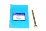 BOLT M10 X 100MM 1ST 30MM THREADED