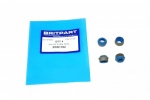 VALVE STEM OIL SEAL V8 EFI - DEFENDER - DISCOVERY 1 + 2 - RANGE ROVER CLASSIC + P38