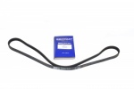 FAN BELT SERPENTINE 3.9 EFI - RANGE ROVER - DISCOVERY