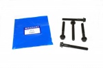 CYLINDER HEAD BOLT V8 3.5L CARB TO 4.6L EFI - DEFENDER - DISCOVERY 1 + 2 - RANGE ROVER CLASSIC + P38