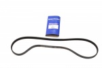 FAN BELT - POLYVEE ALTERNATOR - RANGE ROVER CLASSIC - DISCOVERY 1