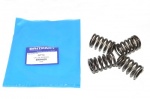 VALVE SPRING V8 - DEFENDER 1987 TO 2006 - RANGE ROVER CLASSIC - DISCOVERY 1 & 2 - RANGE ROVER