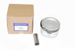 PISTON ASSY 4.6HC