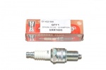 SPARK PLUG RN9YC V8 / 2.5P