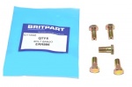 BOLT BANJO BOOST TO FUEL INJECTION PUMP - 200 - 300TDI - DEFENDER - DISCOVERY 1 - RANGE ROVER CLASSI