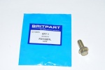 BOLT M10 X 25MM FLANGED HEAD
