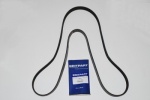 POLYVEE ALTERNATOR BELT - 2.0L 4 CYLINDER MPI  T SERIES 16V PETROL DISCOVERY 1 1989-1998