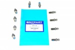 STEERING LOCK SHEAR BOLT DEFENDER - DISCOVERY 1 - RANGE ROVER CLASSIC