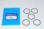 O RING OIL SCREEN IN AUTO BOX LARGE - DEFENDER - DISCOVERY 1 + 2 - RANGE ROVER CLASSIC + P38