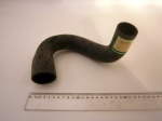 RADIATOR HOSE BOTTOM DIESEL P38 RANGE ROVER