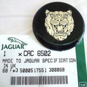 WHEEL CENTRE CAP - JAGUAR - XJS - XJ6 - XJ12 - XJ40 - SERIES 111