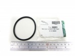 O-RING - THROTTLE BODY - 2.7L + 3.0L - JAGUAR - S-TYPE - XJ - XF - F-PACE