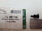 CLIP - CAP TETHER TO FUEL BOWL - 6.2MM X 3-5.8MM - JAGUAR -  XK 2006-2014 - F-TYPE 2014 ONWARDS - XE 2015 ONWARDS - XF 2016 ONWARDS