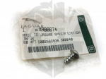 SELF TAPPING SCREW - STAINLESS- REAR NUMBER PLATE PLINTH - JAGUAR F-TYPE - S-TYPE