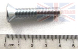 Image of 79221, a 'DOOR HINGE TO BULKHEAD SCREW SERIES 111 - DEFENDER' part