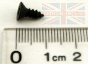 Image of AC606034, a 'SCREW NO6 - SELF-TAPPING' part