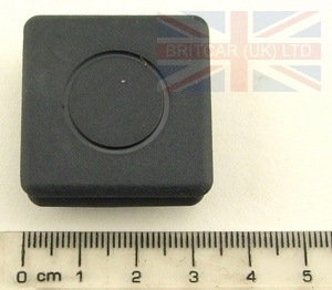 Image of AFU2819L, a 'SWITCH BLANKING PLUG RRC' part