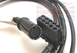 In-Car Entertainment