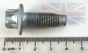 Image of ANR4462, a 'BOLT M10 X 30MM TORX' part