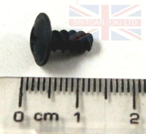 Image of AWR3042, a 'SCREW - REAR DOOR TRIM FINISHER P38 RANGE ROVER' part