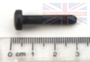 Image of DYP101480, a 'SCREW M5 X 25MM TORX PAN' part