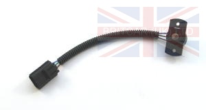 Engine Harness (Petrol V8 L/R EFI From (V)MA081992 or V8 Twin Carb L/R Petrol From (V)MA081992)