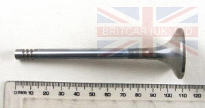 Valves (2.5L 5 CYL Turbo Diesel)