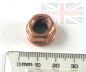 Image of ESR1695, a 'NUT M10 FLANGED COPPER' part