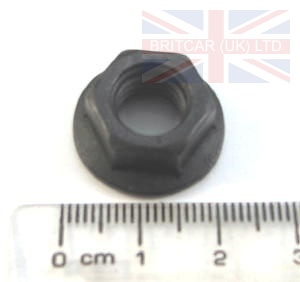 Image of ESR2034, a 'NUT M10 FLANGE EXHAUST - RANGE ROVER - DEFENDER - FREELANDER' part