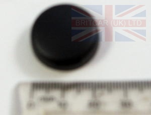 Image of FCL101010LNF, a 'SCREW COVER/CAP  ASH GREY P38' part