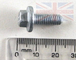 Charcoal Canister (With Petrol Engines)