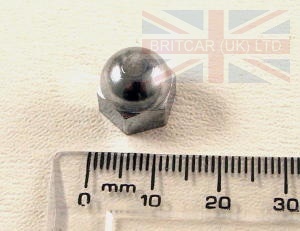 Image of RTC3953, a 'TAILGATE UPPER CATCH DOMED NUT - RANGE ROVER CLASSIC' part