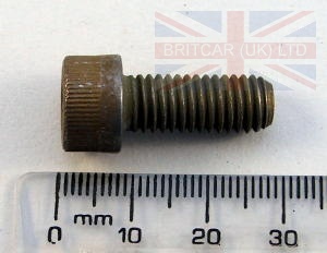 Image of SS108201, a 'SCREW M8 X 20MM ALLAN HEAD' part