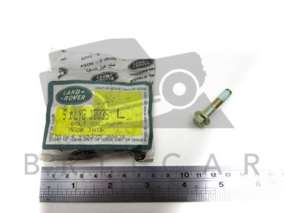 Image of LYG10035L, a 'BOLT' part